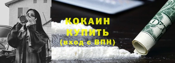 сатива Арсеньев