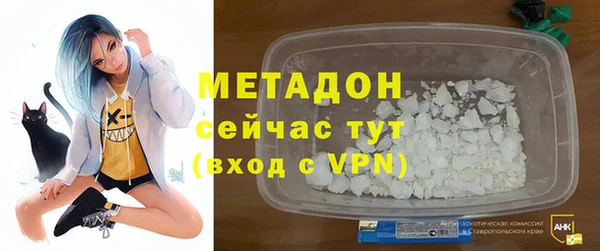 сатива Арсеньев