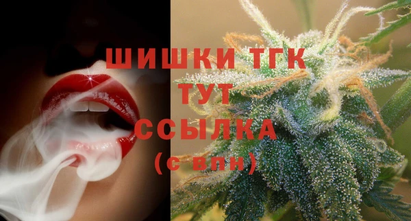 сатива Арсеньев