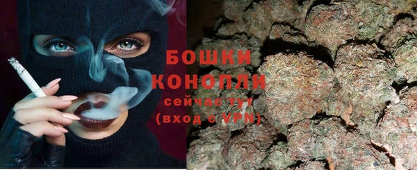 сатива Арсеньев