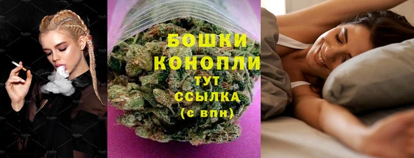 сатива Арсеньев