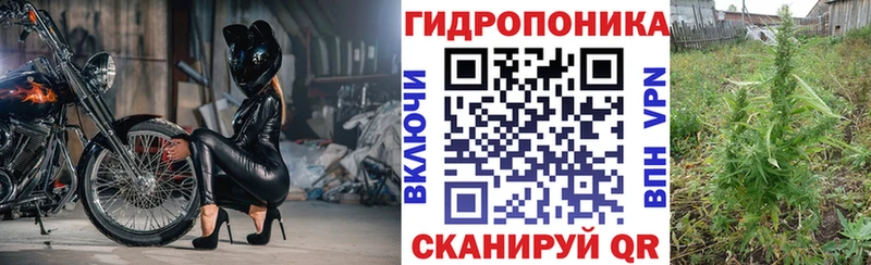закладка  Солигалич  Марихуана семена 
